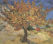 Vincent Van Gogh, The Mulberry Tree (nn04)